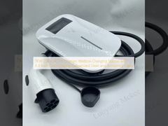 Зарядная станция для электромобилей Wallbox 7 кВт 220 В переменного тока с 4,3-дюймовым цветным дисплеем, оцинкованная сталь и закаленное стекло